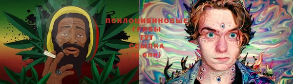 apvp Майский