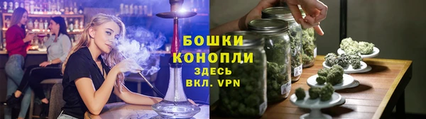 ешки Медногорск