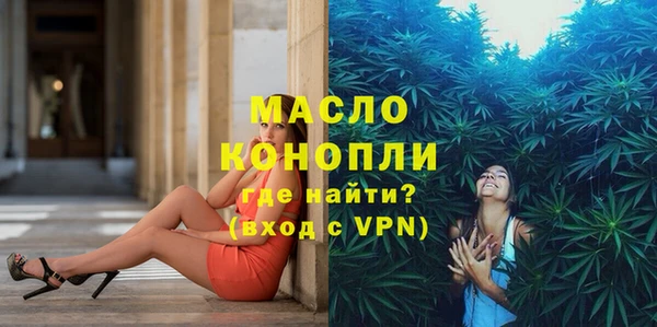 гашик Кедровый