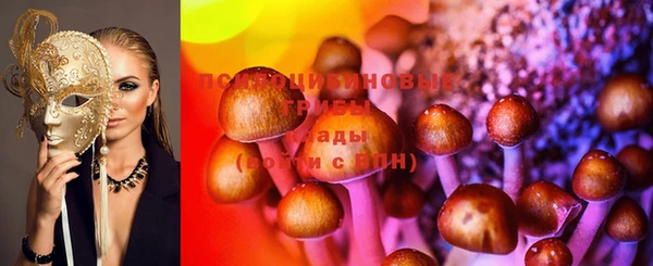 ешки Медногорск