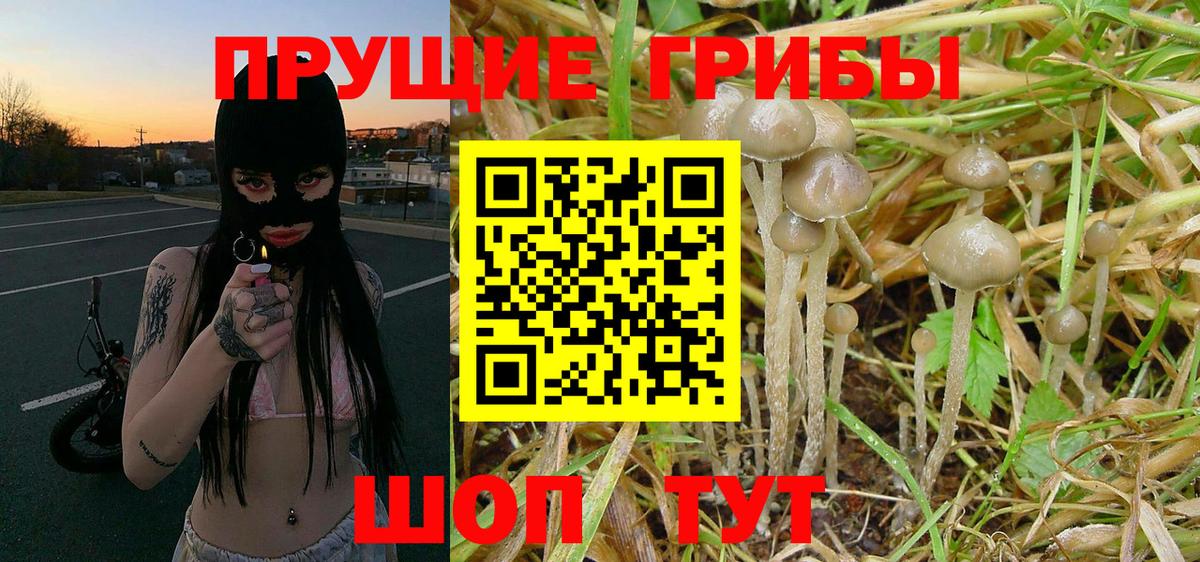 Псилоцибиновые грибы мухоморы  Псилоцибиновые грибы Magic Shrooms  Вход с VPN  Красноуфимск 