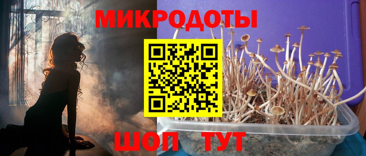 Галлюциногенные грибы Красноуфимск